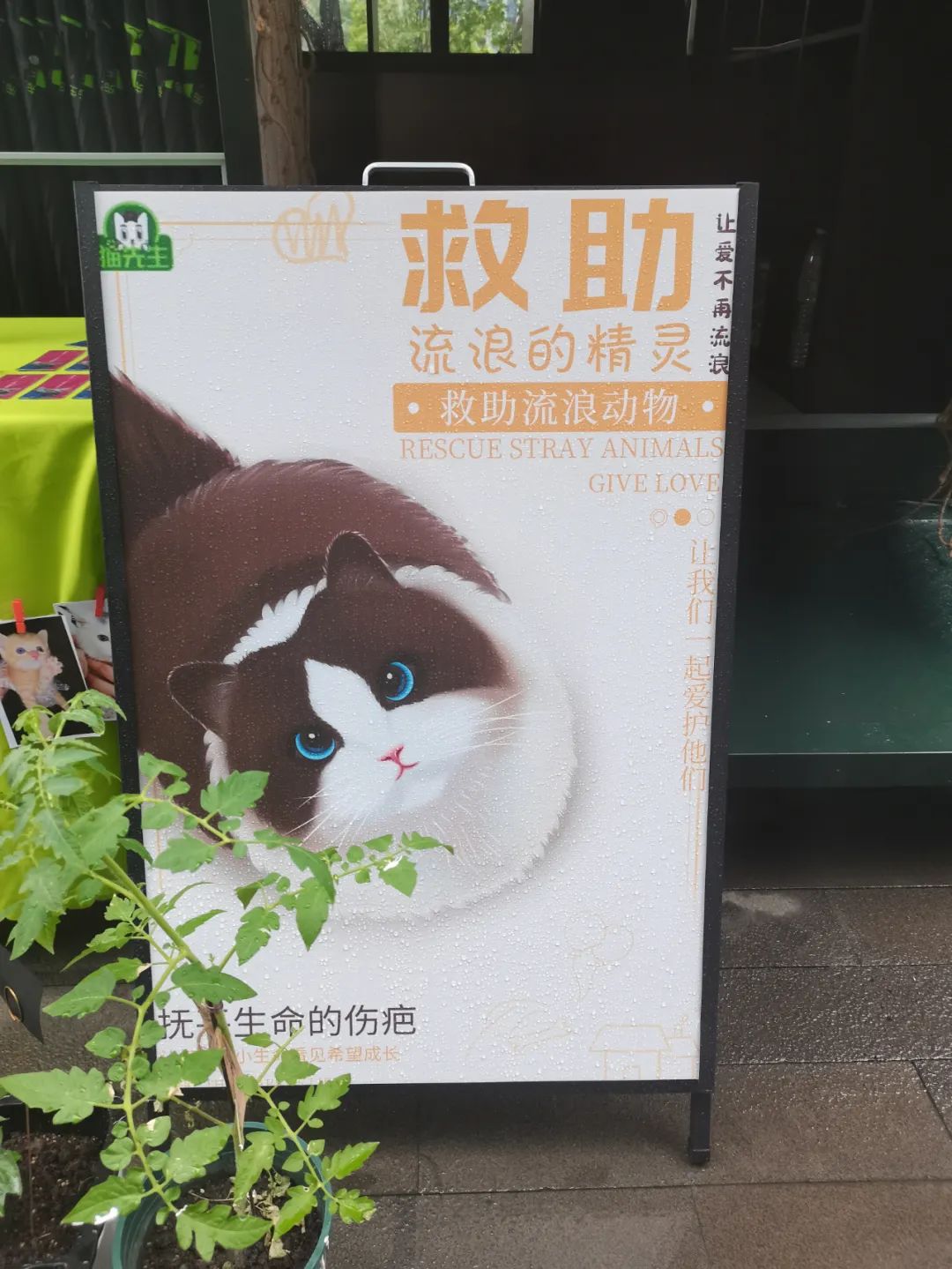 垃圾分類運(yùn)營(yíng)方案、智能分類設(shè)備廠家.jpg